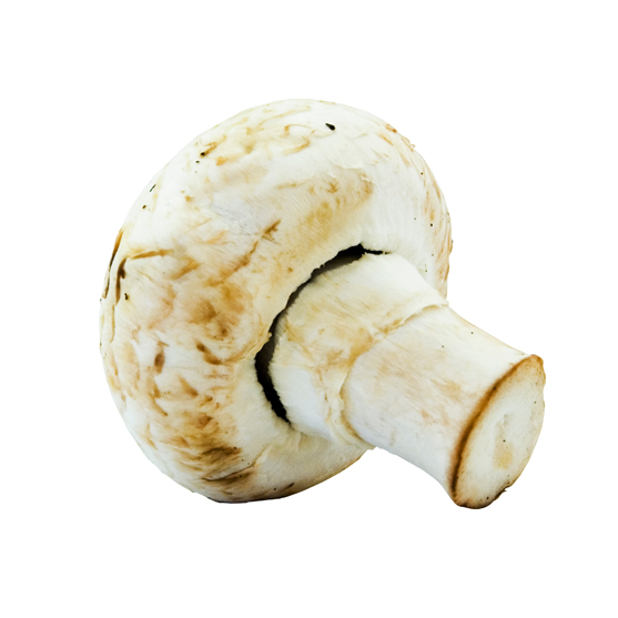 mushroom white